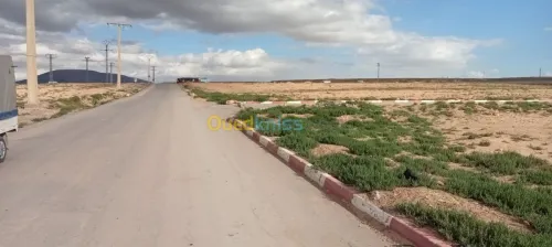 Vente Terrain Setif Setif
