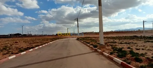 Vente Terrain Setif Setif