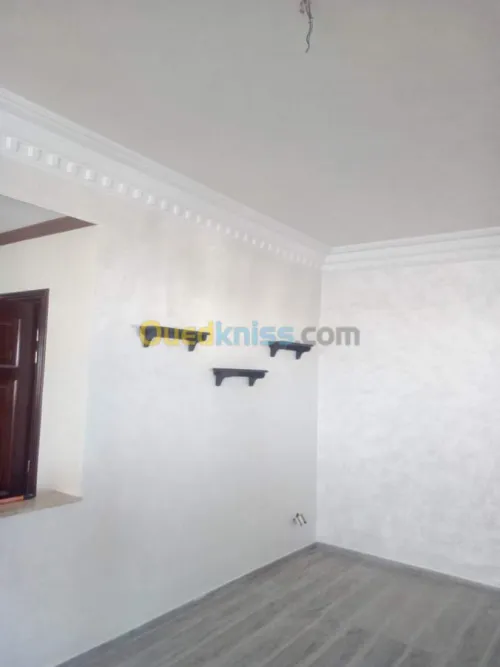  Peinture d'interieur/exterieur