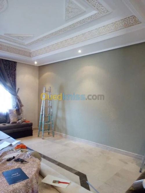  Peinture d'interieur/exterieur