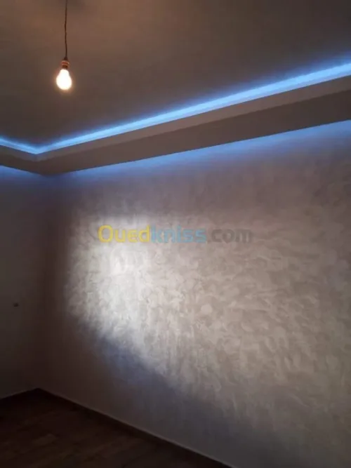  Peinture d'interieur/exterieur