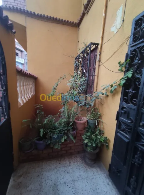 Vente Villa Ain temouchent Beni saf