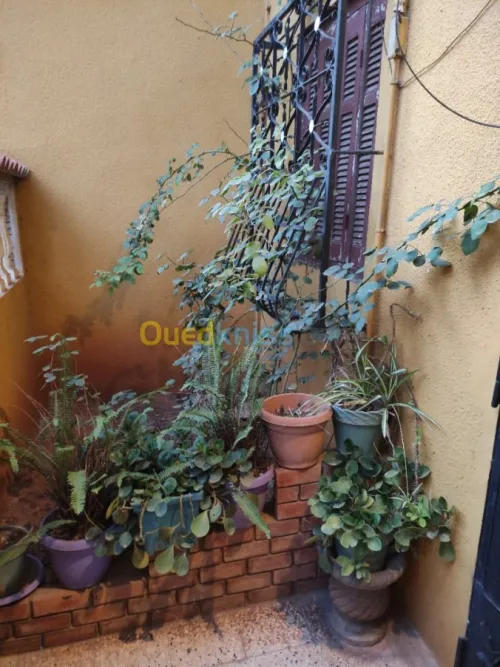 Vente Villa Ain temouchent Beni saf