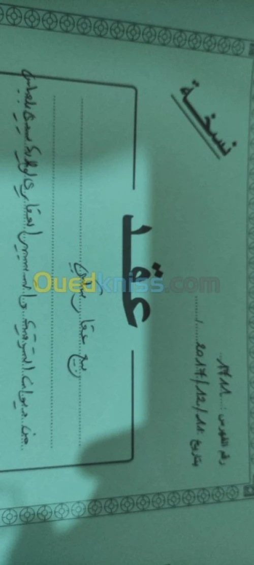 Vente Immeuble Sidi bel abbes Ain el berd