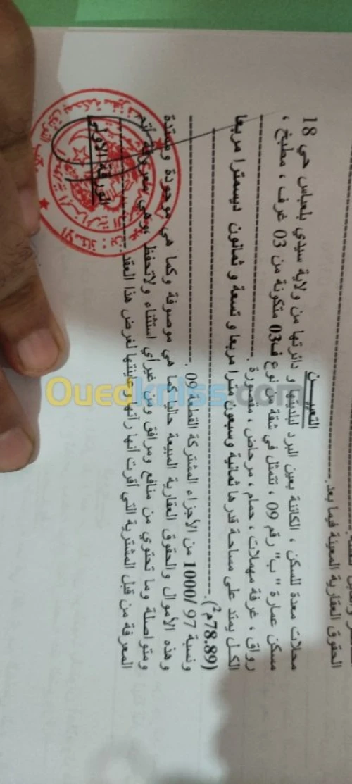 Vente Immeuble Sidi bel abbes Ain el berd