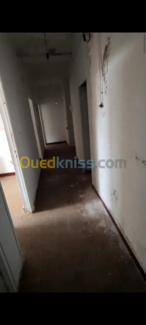 Vente Immeuble Sidi bel abbes Ain el berd