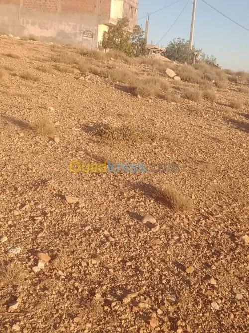 Vente Terrain Khenchela Cherchar