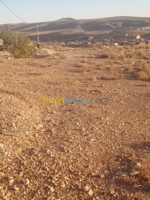 Vente Terrain Khenchela Cherchar