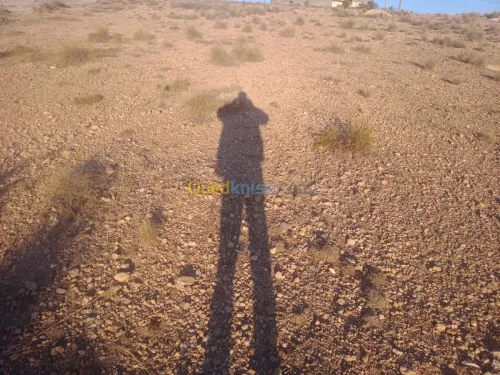 Vente Terrain Khenchela Cherchar