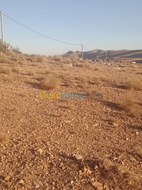 Vente Terrain Khenchela Cherchar