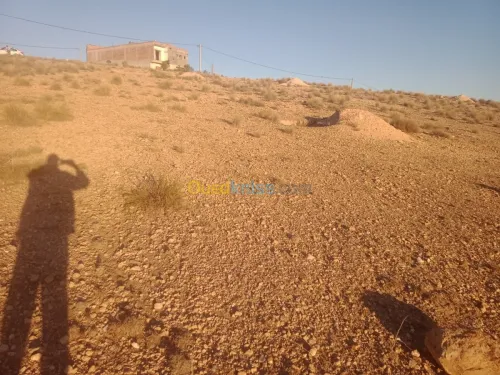 Vente Terrain Khenchela Cherchar
