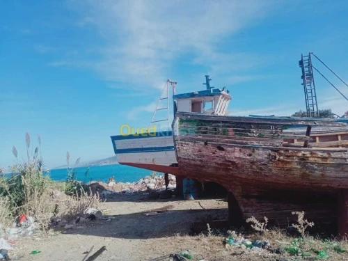 Vente de sardinier