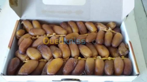 Location Local El oued El oued