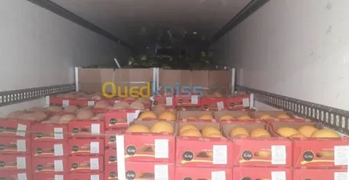 Location Local El oued El oued
