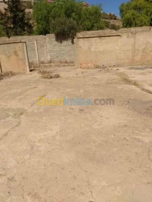 Vente Terrain Ain temouchent Beni saf