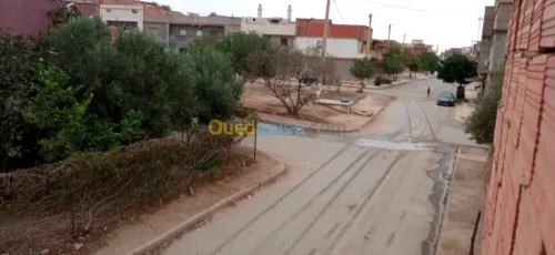 Vente bien immobilier Oran Hassi ben okba