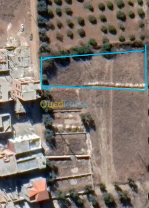 Vente Terrain Tlemcen Tlemcen