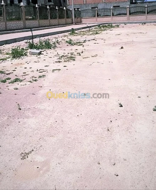Vente Terrain Tlemcen Tlemcen