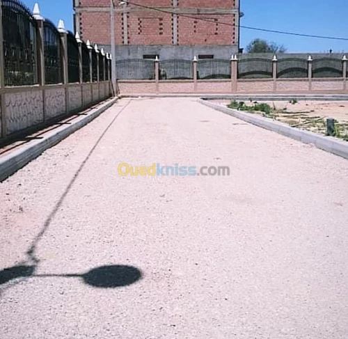 Vente Terrain Tlemcen Tlemcen