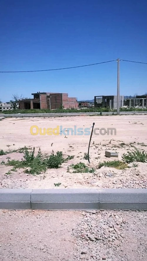 Vente Terrain Tlemcen Tlemcen
