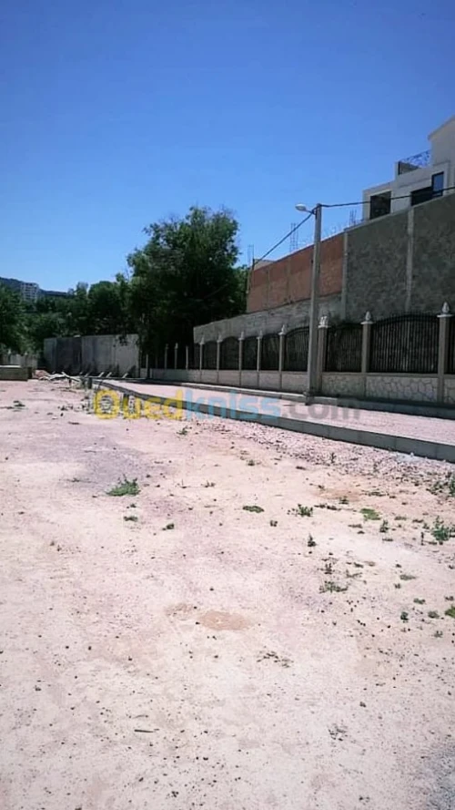 Vente Terrain Tlemcen Tlemcen