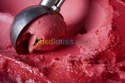 formation fabrication Gélato et jus 