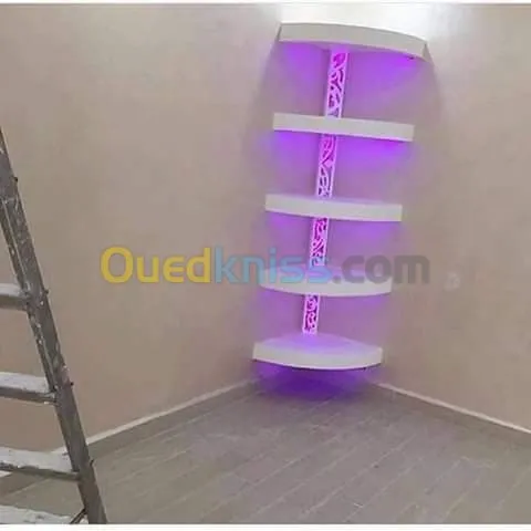 Placoplatre
