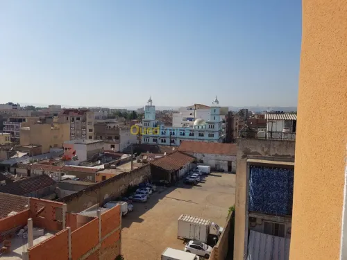 Vente Appartement F4 Blida Boufarik