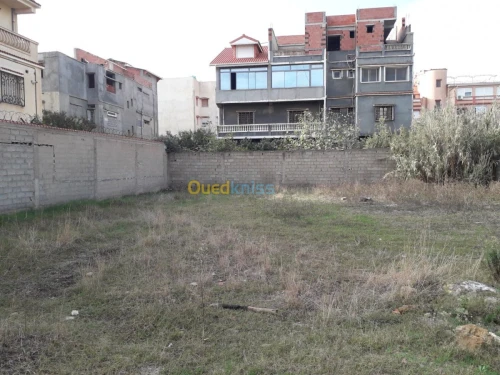 Vente Terrain Alger Bordj el kiffan
