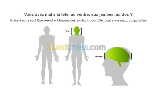 Sites WEB dynamique & E-Commerce.