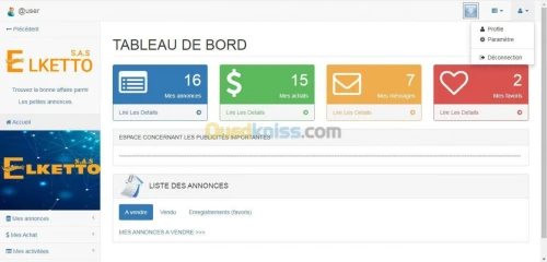 Sites WEB dynamique & E-Commerce.