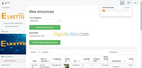 Sites WEB dynamique & E-Commerce.