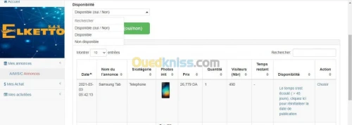 Sites WEB dynamique & E-Commerce.