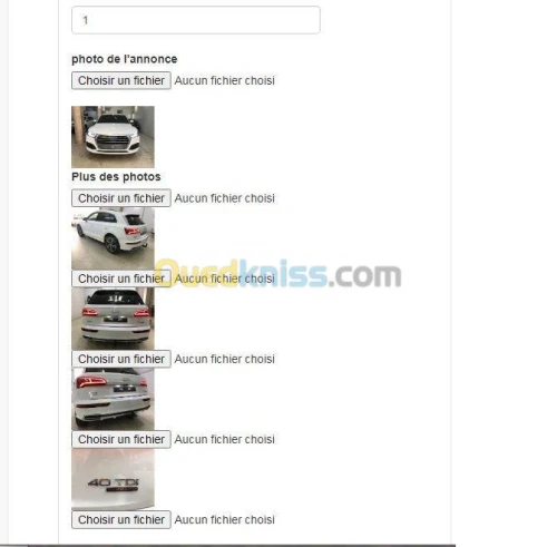 Sites WEB dynamique & E-Commerce.
