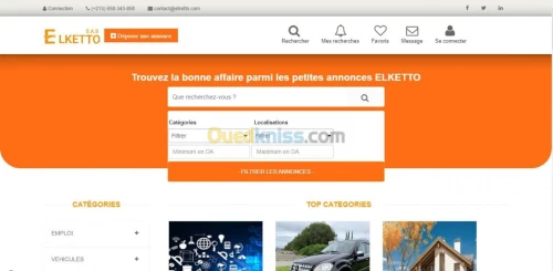 Sites WEB dynamique & E-Commerce.