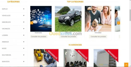 Sites WEB dynamique & E-Commerce.