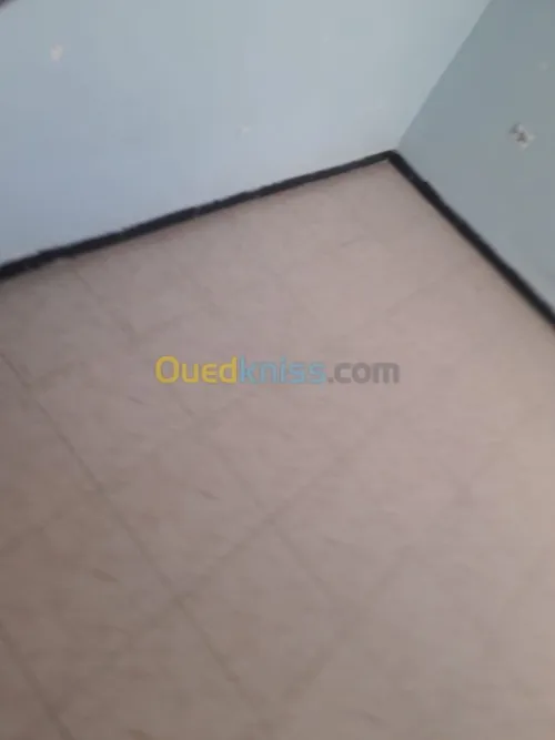 Vente Appartement F4 Alger Reghaia