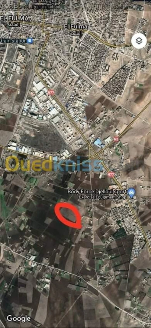 Vente Terrain Setif Bazer sakhra