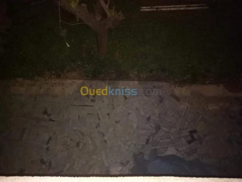 Location Niveau De Villa F3 Alger Bir mourad rais