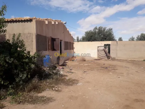Vente Terrain Agricole Djelfa Hassi fedoul