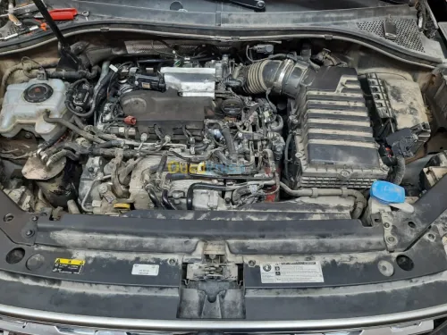 Tiguan 2017-2024 AdBlue  FAP EGR off