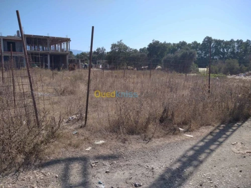 Vente Terrain Blida Boufarik