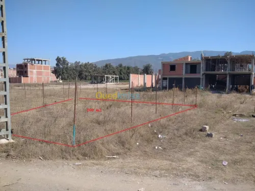 Vente Terrain Blida Boufarik