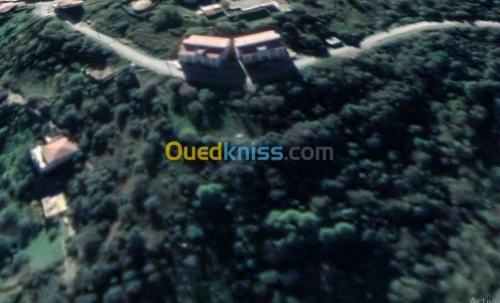 Vente Terrain Tizi ouzou Ait mahmoud