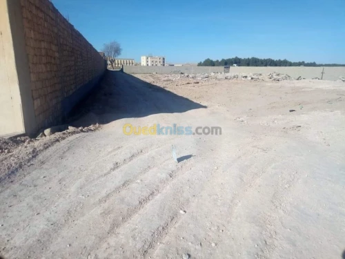 Vente Terrain Djelfa Djelfa