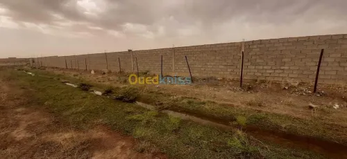 Vente Terrain Djelfa Djelfa