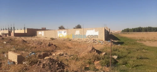 Vente Terrain Djelfa Djelfa