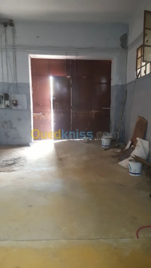 Location Local Tlemcen Tlemcen