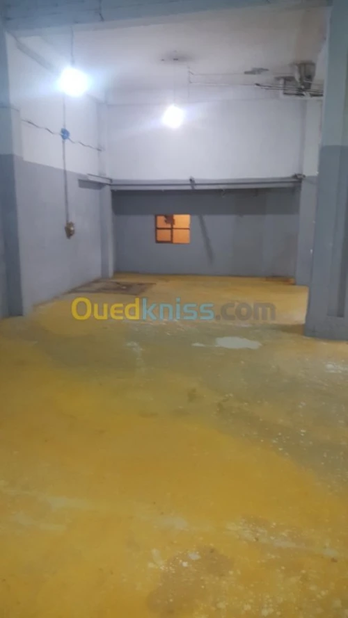 Location Local Tlemcen Tlemcen