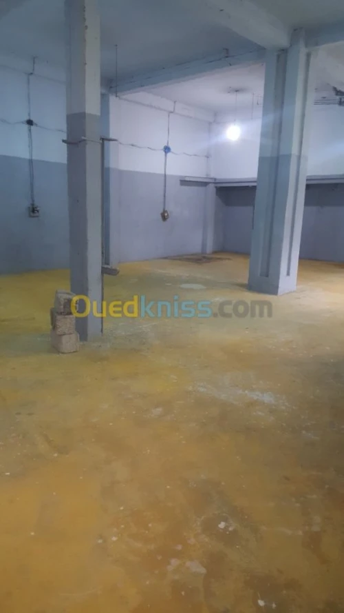 Location Local Tlemcen Tlemcen